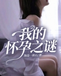 我的怀孕之谜