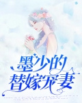墨少的替嫁宠妻