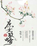 庶女攻略（《锦心似玉》原著）