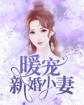 暖宠新婚小妻
