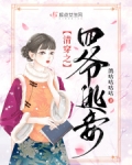 清穿之四爷宠妾日常 免费阅读 小说