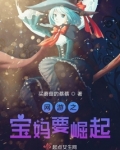 网游之暴力奶妈成功记