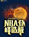 nba登峰造极小说免费阅读