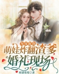 为母报仇萌娃炸翻渣爹婚礼现场 笔趣阁