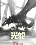 神印王座之暗夜之子