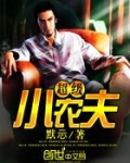 超级小农夫小说