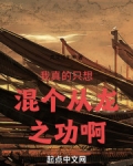 我真的只想混个从龙之功啊 小说