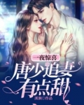 一夜惊喜：唐少追妻有点甜