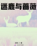 迷鹿与蔷薇