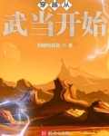 穿越从武当开始最新章节