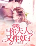 四爷，你夫人又作妖了