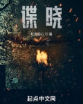 谍晓小说免费阅读