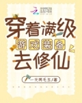 带着满级游戏生活技能去穿越的小说