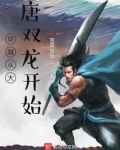穿越从大唐双龙开始小说