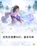 纪先生宠妻36计，重生归来