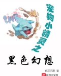 精灵之黑色幻想八零