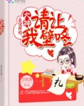 最佳搭档 小说