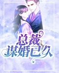 总裁谋婚已久小说