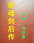 绝魂刀小说