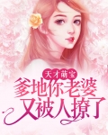 天才萌宝,爹地你老婆又被人撩了小说