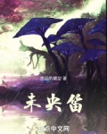 未央笛百度百科