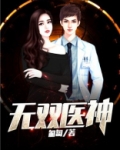 神医无双卷二