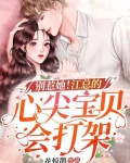 总裁全文免费阅读