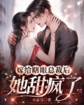 嫁给瞎子以后小说