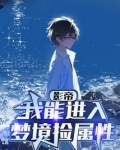 华娱:我能进入梦境捡属性作者:陈望东