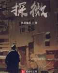 探微堂藏瓷