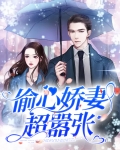 偷心娇妻超嚣张百度云