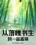 从落魄书生到一品富商的小说