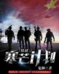 特战:寒芒计划