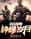 特种兵之峥嵘岁月