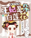 爆笑穿越:王妃是朵白莲花 百度网盘