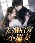 婚后温馨甜宠文小说