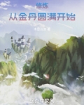 修炼：从金丹圆满开始