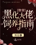 快穿黑化大佬饲养指南小说