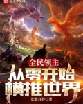 全民领主：从零开始横推世界