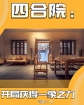 四合院:开局获得一象之力完整版在线