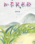 知否笑长歌小