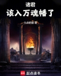 诸君,该入万魂幡了小说