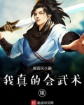 我真的会武术哦 小说