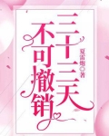 三十三天,不可撤销 夏雷炮