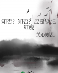 知否知否应是绿肥红瘦红瘦指的是什么?