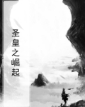 圣皇之崛起