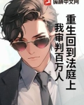 重生回到法庭上,我审判百万人的小说