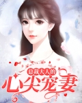 总裁大人心尖宠 镜面面
