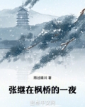 张继在枫桥夜泊一诗中描写了哪些景物