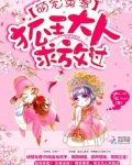萌宠狐宝